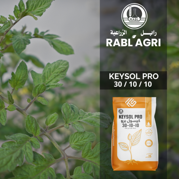 Keysol Pro 30-10-10