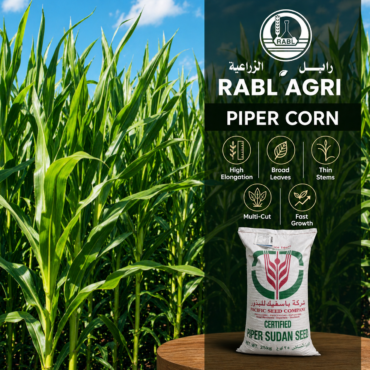 Piper Corn