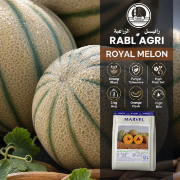 Royal Melon