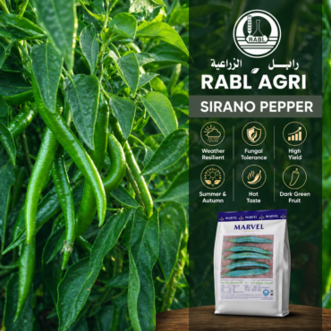 Sirano Pepper