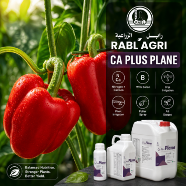 CA PLUS PLANE