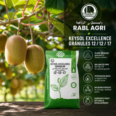 Keysol Excellence 12/12/17 (granules)