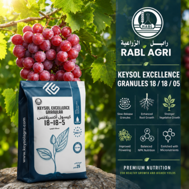 Keysol Excellence 18/18/5 (granules)
