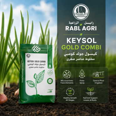 Keysol Gold Combi