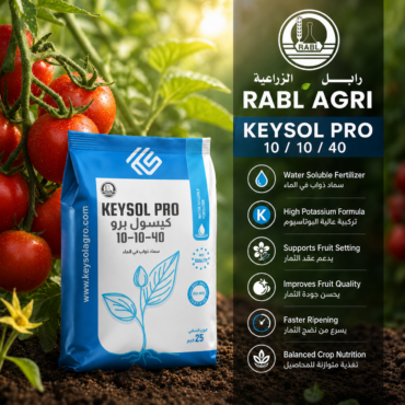 Keysol Pro 10-10-40