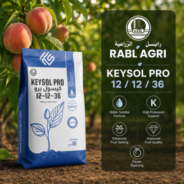 Keysol Pro 12-12-36