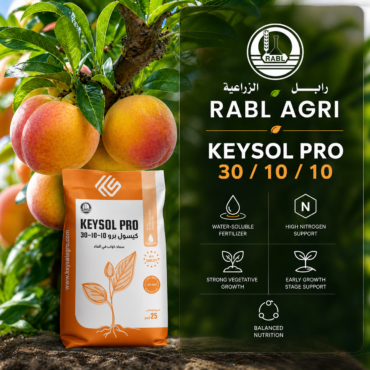 Keysol Pro 30-10-10