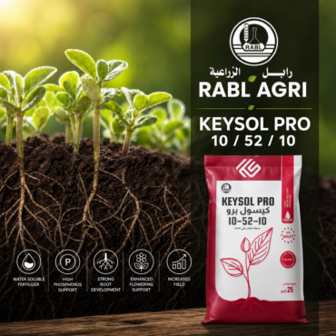 Keysol Pro10-52-10