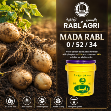 Mada Rabl 0/52/34 (Paste)