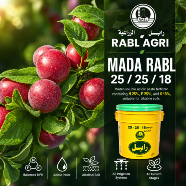 Mada Rabl 25/25/18 (Paste)