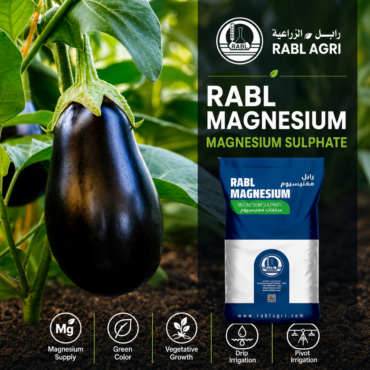 RABL Magnesium (Magnesium Sulphate)