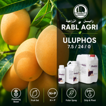 Uluphus 7.5/24/0