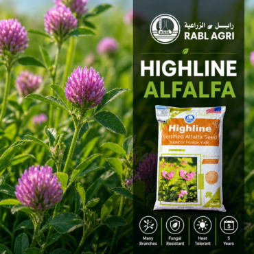 Highline Alfalfa