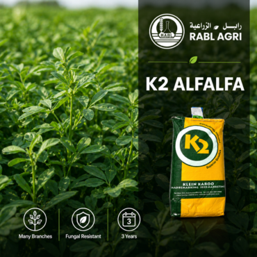 K2 Alfalfa