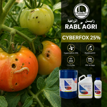 Cyber​​Fox 25%