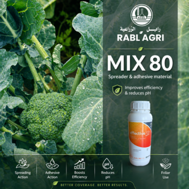 Mix 80