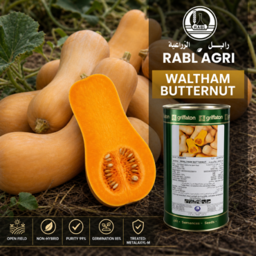 Waltham Butternut