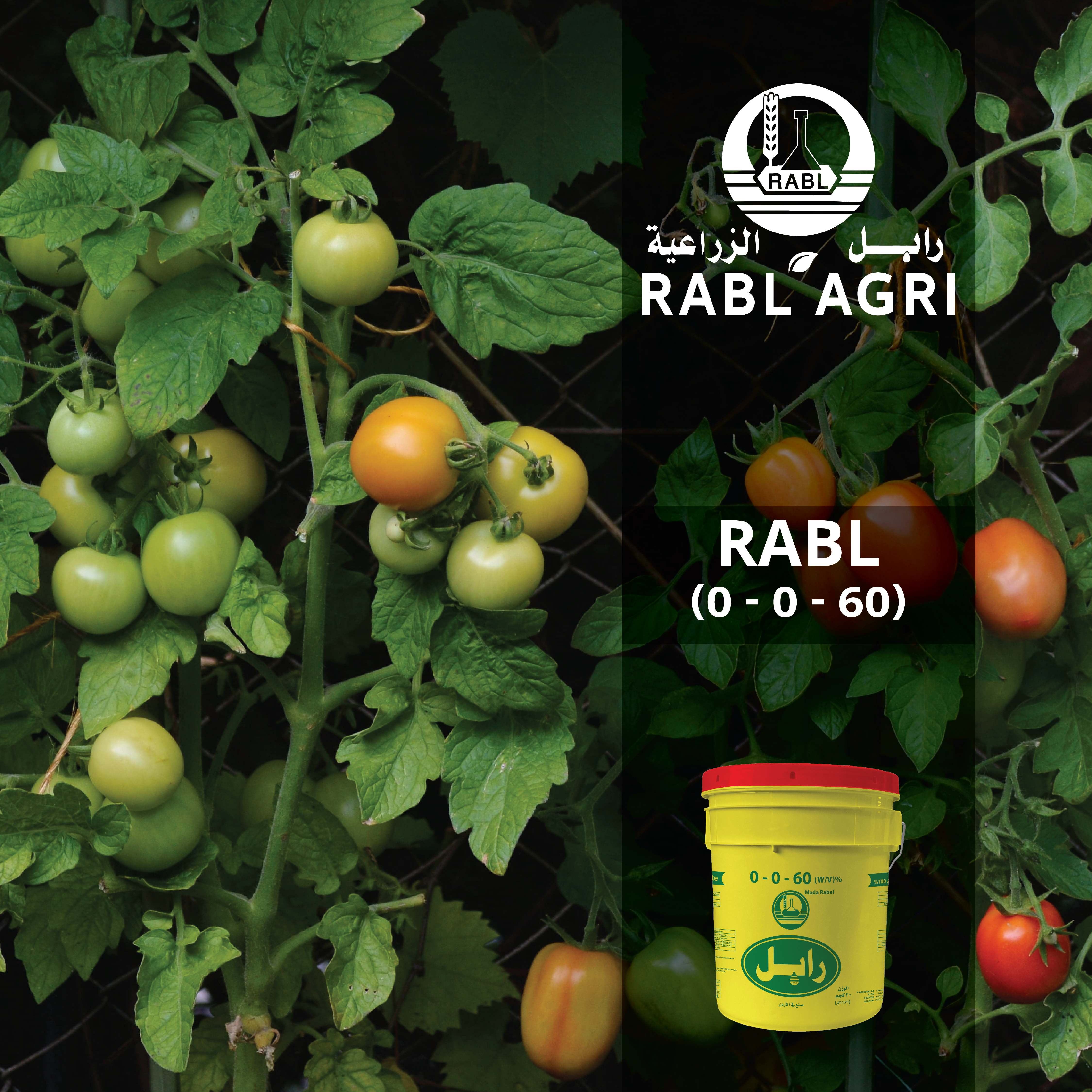 MADA RABL 0-0-60 (SUSPENSION)