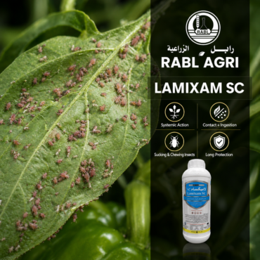 LAMIXAM SC