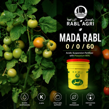MADA RABL 0-0-60 (SUSPENSION)