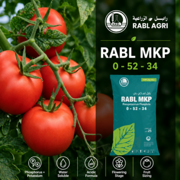 RABL MKP 0-52-34 (WATER SOLUBLE)