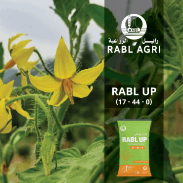 RABL MKP 17-44-0 (WATER SOLUBLE)