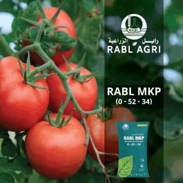 RABL MKP 0-52-34 (WATER SOLUBLE)