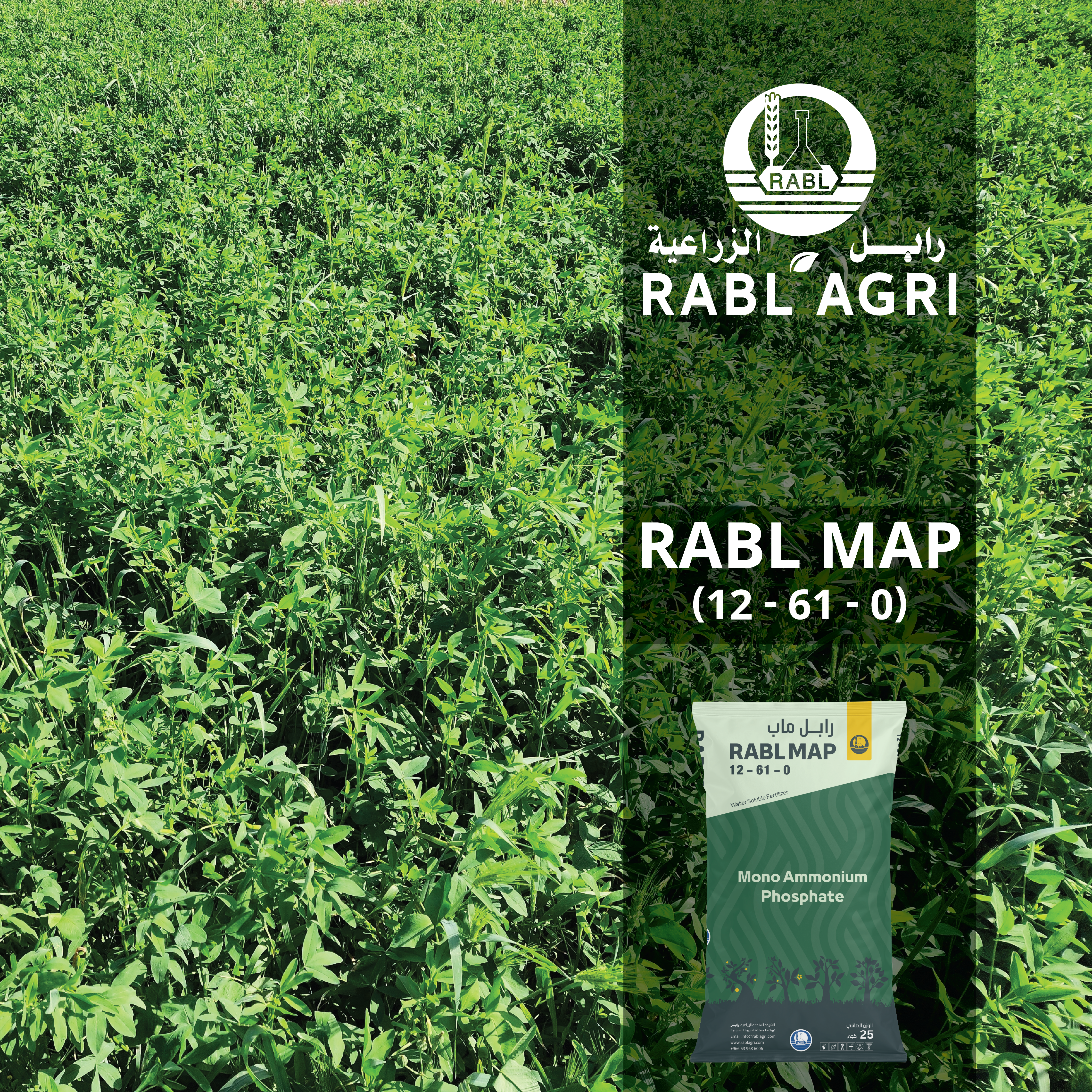 RABL MAP 12-61-0 (WATER SOLUBLE)