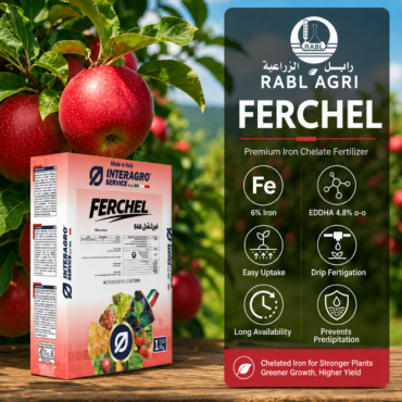 Ferchel 648