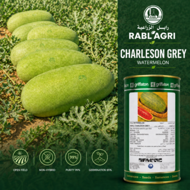 Charleston Gray Watermelon