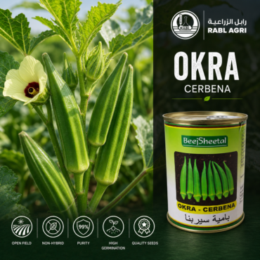 Serbna Okra