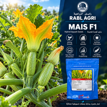 BASMA F1 Zucchini